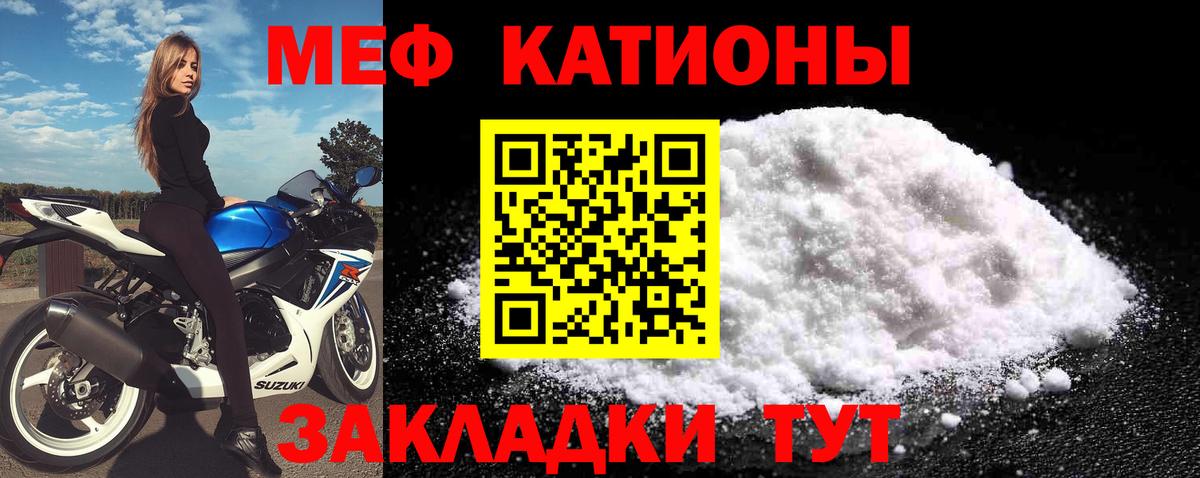 МЕФ  Можга
