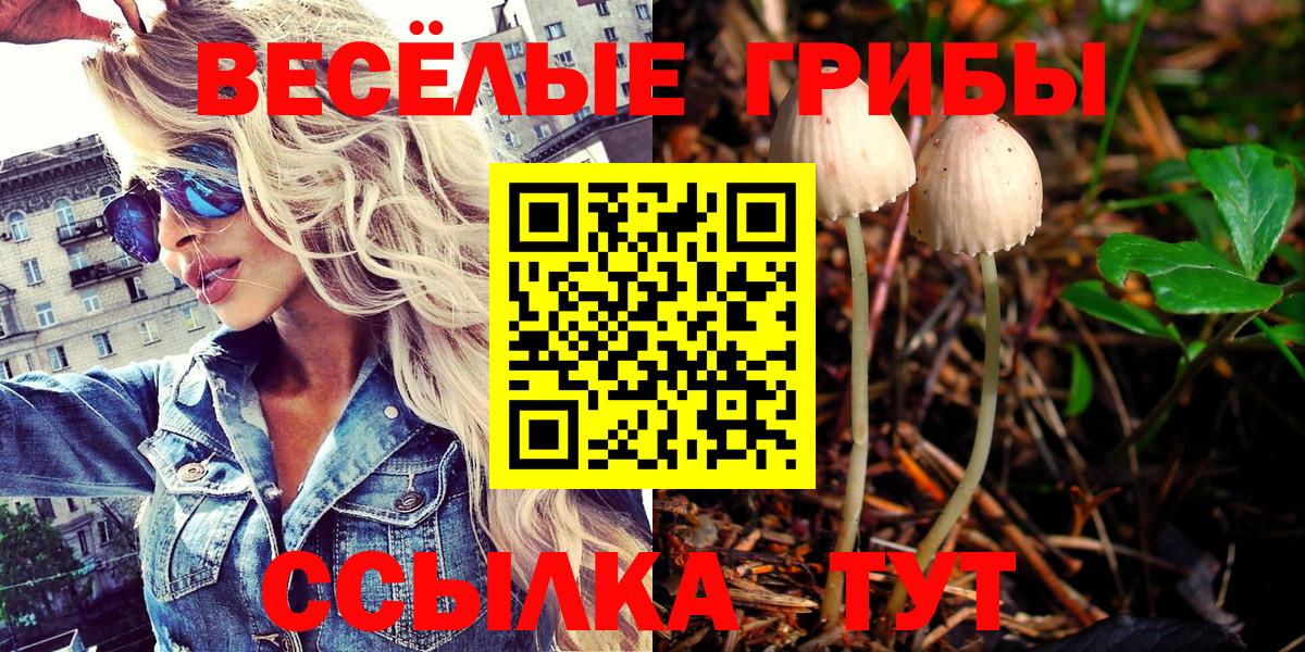 Можга  Галлюциногенные грибы Psilocybine cubensis  где найти   Вход с VPN 